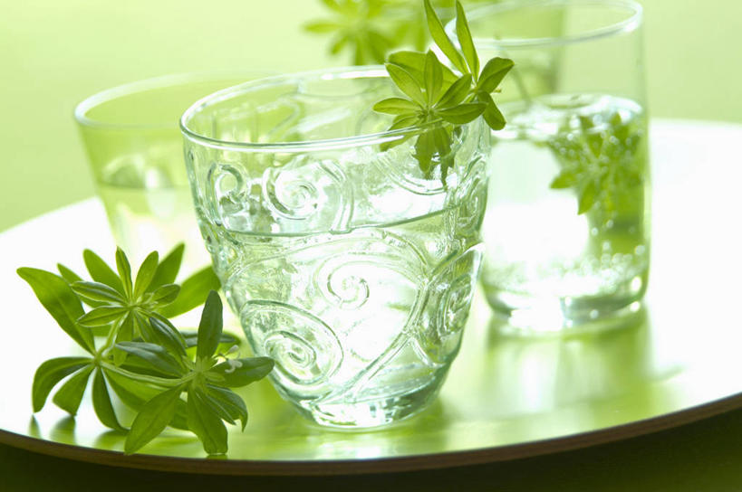 果汁,无人,横图,俯视,室内,特写,白天,植物,桌面,桌子,柠檬,杯子,绿色背景,阴影,反射,木制,影子,草药,药草,饮品,柠檬汁,中药,玻璃制品,饮料,木制品,水杯,摄影,影棚,可口,药材,中草药,车叶草,中药材,本草,活血丹,适口,茜草,血见愁,地苏木,血茜草,玻璃杯,益母果,柠果,彩图,高角度拍摄,影棚拍摄,拍摄