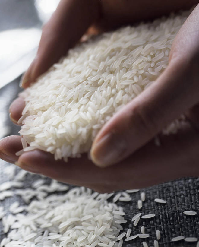 西方人,手,一个人,捧,竖图,室内,特写,白天,正面,欧洲,欧洲人,双手,仅一个年轻女性,仅一个女性,仅一个人,许多,谷类,谷物,米,很多,白色,手部,香米,印度香米,巴斯马蒂大米,巴斯马蒂香米,香稻,年轻女性,女人,女性,白种人,端,端着,捧着,手捧,半身,彩图