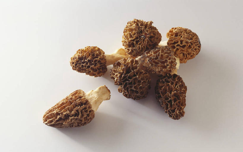 无人,横图,俯视,室内,特写,白天,白色背景,桌面,桌子,蔬菜,一堆,许多,阴影,堆叠,堆积,新鲜,反射,木制,影子,菌菇,食品,很多,菌类,食物,木制品,食用菌,摄影,有机食品,绿色食品,影棚,堆,羊肚菇,羊肚菜,羊肚菌,羊蘑,美味羊肚菌,彩图,高角度拍摄,影棚拍摄,拍摄