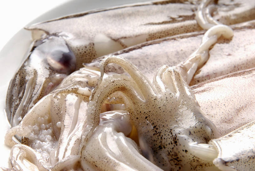 海鲜,无人,横图,俯视,室内,特写,白天,餐桌,桌子,鱿鱼,阴影,反射,影子,水产,海洋生物,餐台,水生动物,海产品,水生物,海底动物,柔鱼,枪乌贼,半身,彩图,高角度拍摄