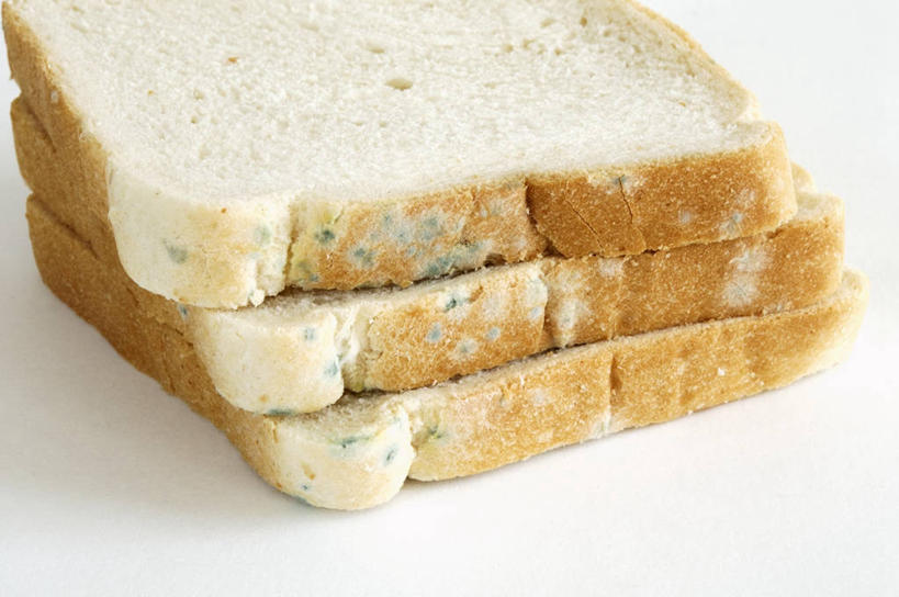 点心,面包,无人,横图,俯视,室内,特写,白天,白色背景,餐桌,桌子,一排,阴影,发霉,整齐,反射,影子,食品,面点,三片,吐司,食物,糕点,排列,摄影,影棚,餐台,法式面包,堆,队列,霉菌,吐司面包,彩图,高角度拍摄,影棚拍摄,拍摄,多士,听型面包