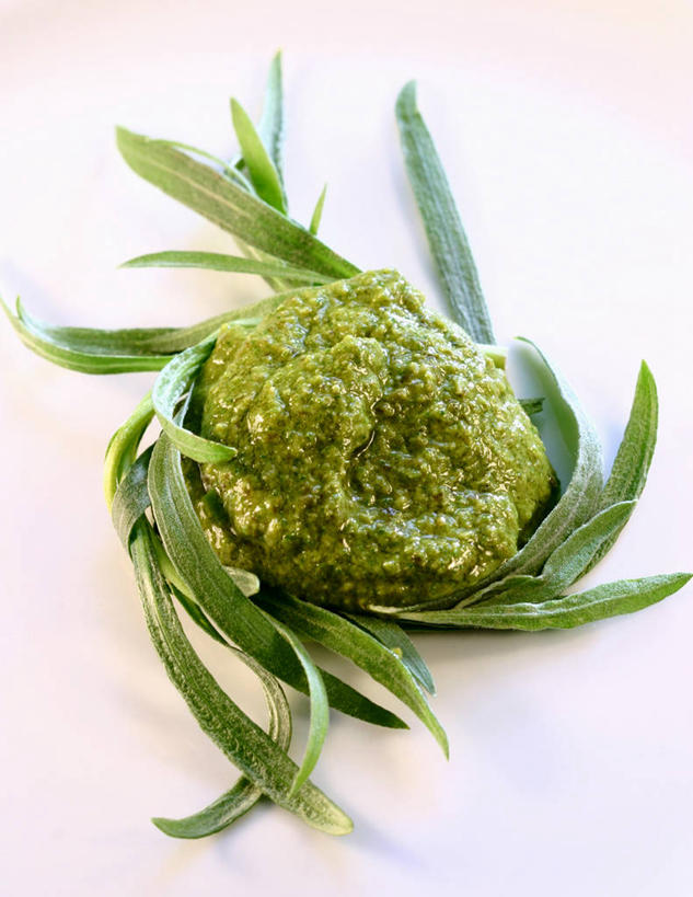 无人,竖图,俯视,室内,特写,白天,白色背景,植物,餐桌,桌子,蔬菜,叶子,阴影,新鲜,反射,影子,调料,酱料,酱汁,佐料,食品,绿叶,草药,药草,调味品,调味料,酱,中药,食物,绿色,嫩叶,摄影,有机食品,绿色食品,影棚,餐台,药材,中草药,龙蒿,中药材,本草,椒蒿,青蒿,蛇蒿,叶,叶片,彩图,高角度拍摄,影棚拍摄,拍摄