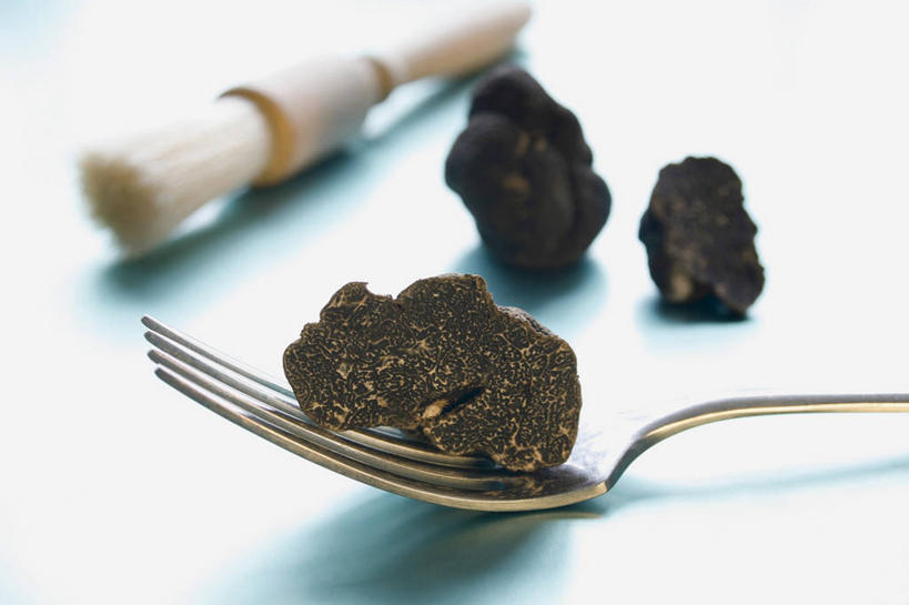 无人,横图,俯视,室内,特写,白天,白色背景,餐桌,桌子,蔬菜,餐具,阴影,朦胧,模糊,新鲜,反射,叉子,影子,菌菇,食品,菌类,食物,一个,黑色,食用菌,摄影,有机食品,绿色食品,影棚,单个,餐台,餐叉,黑孢块菌,黑块菌,块菌,进餐用具,彩图,高角度拍摄,影棚拍摄,拍摄