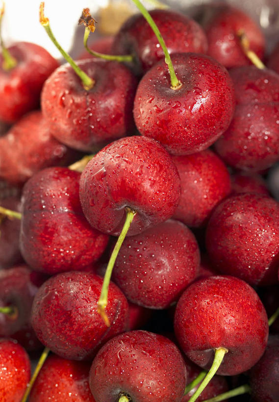 无人,竖图,俯视,室内,特写,白天,白色背景,樱桃,水果,一堆,许多,阴影,堆叠,堆积,朦胧,模糊,新鲜,反射,影子,生食,食品,果实,食物,摄影,有机食品,绿色食品,影棚,堆,樱珠,莺桃,英桃,楔桃,牛桃,荆桃,彩图,高角度拍摄,影棚拍摄,拍摄