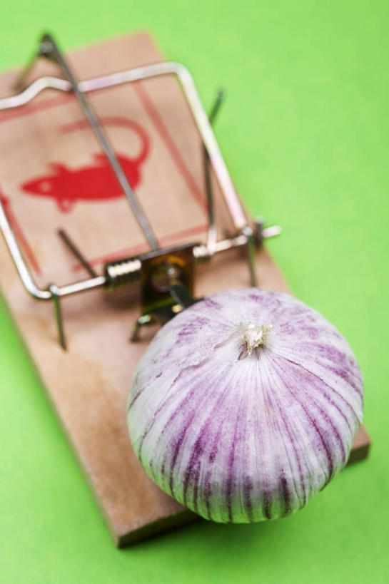 无人,竖图,俯视,室内,特写,白天,餐桌,桌子,蔬菜,洋葱,绿色背景,阴影,新鲜,反射,影子,食品,食物,一个,诱惑,摄影,有机食品,绿色食品,影棚,单个,餐台,捕鼠器,勾引,玉葱,毁灭,补鼠器,灭鼠器,歼灭,灭鼠,消灭,引诱,圆葱,洋葱头,球葱,葱头,彩图,高角度拍摄,影棚拍摄,拍摄,清除