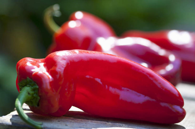 无人,横图,俯视,室外,特写,白天,草地,草坪,植物,餐桌,桌子,辣椒,蔬菜,阴影,朦胧,模糊,新鲜,光线,影子,食品,草,食物,红色,绿色,阳光,四个,有机食品,绿色食品,餐台,辣角,红海椒,大椒,辣虎,广椒,辣子,红辣椒,海椒,番椒,彩图,高角度拍摄