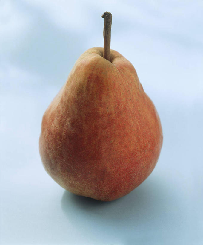 无人,竖图,俯视,室内,特写,白天,餐桌,桌子,梨,水果,阴影,新鲜,反射,影子,生食,食品,果实,食物,一个,香梨,摄影,有机食品,绿色食品,影棚,单个,餐台,生梨,彩图,高角度拍摄,影棚拍摄,拍摄