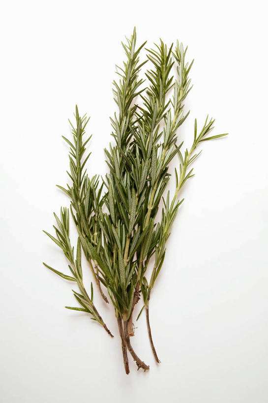 无人,竖图,俯视,室内,特写,白天,白色背景,餐桌,桌子,阴影,反射,影子,调味,香料,佐料,摄影,影棚,餐台,迷迭香,配料,海洋之露,作料,彩图,高角度拍摄,影棚拍摄,拍摄