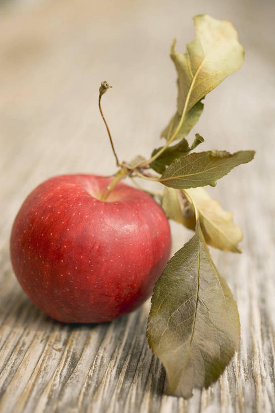 无人,竖图,俯视,室内,特写,白天,餐桌,桌子,苹果,水果,叶子,阴影,朦胧,模糊,新鲜,反射,木制,影子,生食,食品,果实,绿叶,食物,一个,红色,木制品,嫩叶,有机食品,绿色食品,单个,餐台,叶,叶片,彩图,高角度拍摄