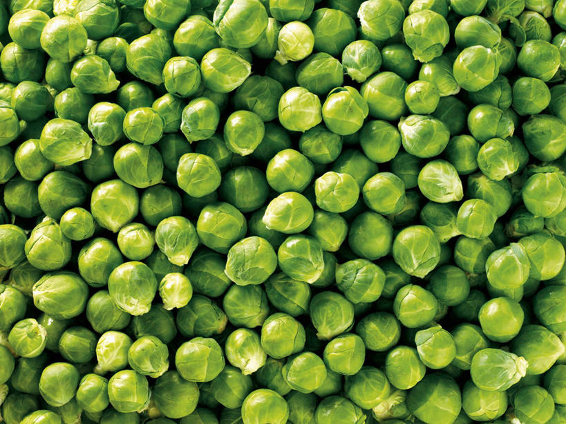 无人,横图,俯视,室内,特写,白天,蔬菜,椰菜,卷心菜,一堆,许多,阴影,堆叠,堆积,新鲜,反射,影子,食品,食物,绿色,甘蓝,有机食品,绿色食品,堆,结球甘蓝,甘兰,包心菜,彩图,高角度拍摄