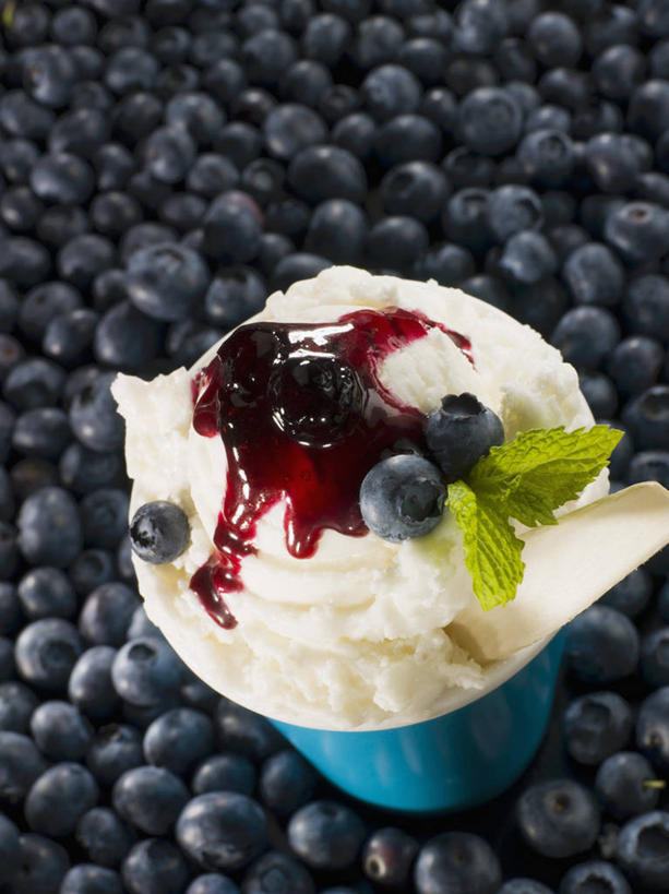 牛奶,无人,竖图,俯视,室内,特写,白天,浆果,蓝莓,杯子,水果,一堆,许多,阴影,堆叠,堆积,新鲜,反射,影子,生食,薄荷,食品,冰激凌,果实,银丹草,饮品,清凉,营养,酸奶,食物,饮料,蓝色,纸制品,果酱,冷饮,舒服,冰淇淋,有机食品,绿色食品,纸杯,堆,解暑,乳制品,奶,解渴,一次性杯子,雪糕,发酵,舒爽,冰糕,消暑,优格,优酪乳,果子酱,斑叶凤梨薄荷,苹果薄荷,夜息香,山都柿,蓝浆果,蓝靛果,彩图,高角度拍摄