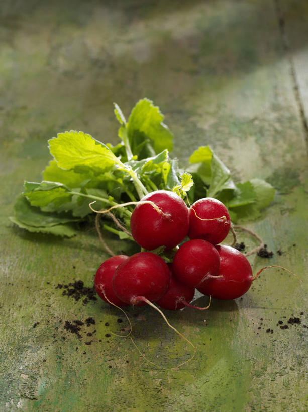 无人,竖图,俯视,室内,特写,白天,植物,桌面,桌子,萝卜,蔬菜,叶子,一堆,许多,阴影,堆叠,堆积,新鲜,反射,木制,纹理,影子,食品,绿叶,很多,食物,红色,绿色,木制品,嫩叶,有机食品,绿色食品,堆,肌理,大红萝卜,东北红萝卜,叶,叶片,叶脉,莱菔,红萝卜,彩图,高角度拍摄