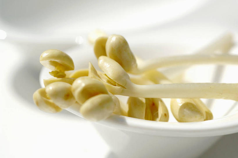 无人,横图,俯视,室内,特写,白天,白色背景,桌面,桌子,蔬菜,阴影,朦胧,模糊,新鲜,反射,木制,影子,陶瓷,豆芽,食品,陶瓷制品,食物,两个,黄色,白色,木制品,容器,碗,摄影,有机食品,绿色食品,影棚,储藏,储存,豆芽菜,芽苗菜,彩图,高角度拍摄,影棚拍摄,拍摄,贮存