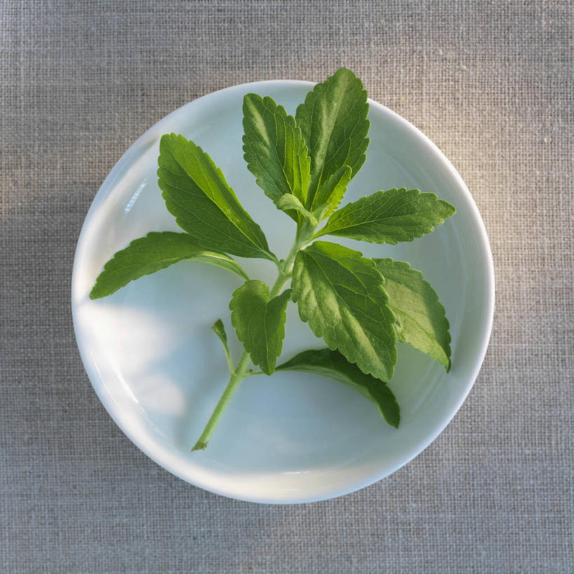 无人,方图,俯视,室内,特写,白天,植物,桌面,桌子,叶子,阴影,反射,木制,纹理,影子,陶瓷,绿叶,陶瓷制品,一个,绿色,木制品,容器,碗,嫩叶,摄影,影棚,单个,储藏,储存,肌理,叶,叶片,叶脉,彩图,高角度拍摄,影棚拍摄,拍摄,贮存