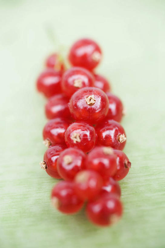 无人,竖图,俯视,室内,特写,白天,桌面,桌子,浆果,水果,许多,绿色背景,阴影,新鲜,反射,木制,影子,灯笼果,生食,食品,果实,很多,食物,红色,木制品,摄影,有机食品,绿色食品,影棚,红醋栗,醋栗,彩图,高角度拍摄,影棚拍摄,拍摄