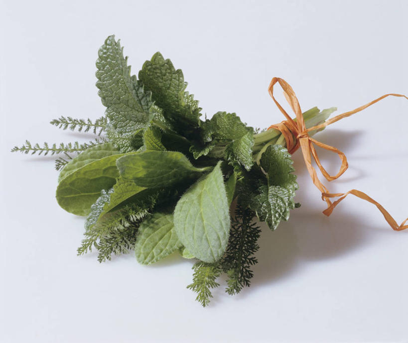 无人,横图,俯视,室内,特写,白天,白色背景,植物,桌面,桌子,叶子,阴影,反射,木制,纹理,影子,绿叶,草药,药草,中药,绿色,木制品,绳子,嫩叶,摄影,影棚,绳索,药材,中草药,蜜蜂花,中药材,本草,肌理,鼻血草,叶,叶片,叶脉,彩图,高角度拍摄,影棚拍摄,拍摄