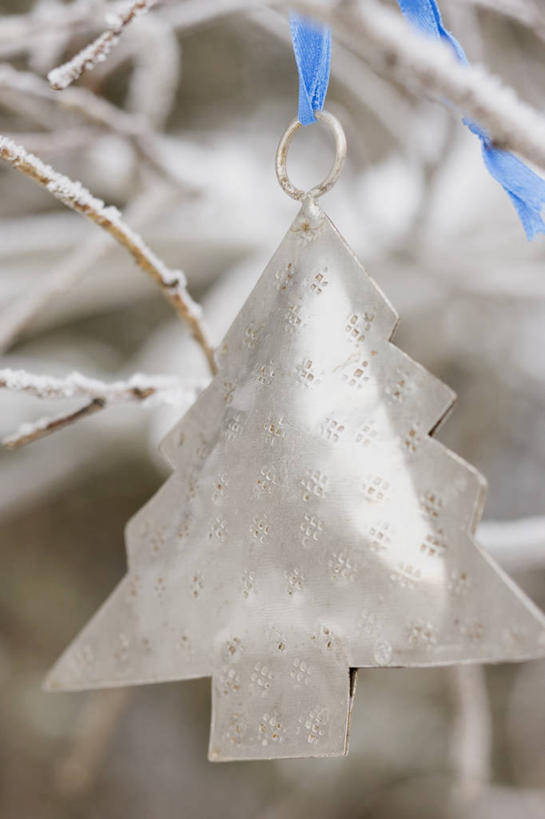 无人,竖图,俯视,室内,特写,白天,雪,植物,大雪,圣诞节,阴影,节日,朦胧,模糊,庆祝,装饰,反射,影子,积雪,雪景,冬季,冬天,圣诞树,文化,树,树木,绿色,自然,庆典,寒冷,生长,成长,纪念,华丽,修饰,点缀,衬托,美观,雅致,雅观,严寒,彩图,高角度拍摄