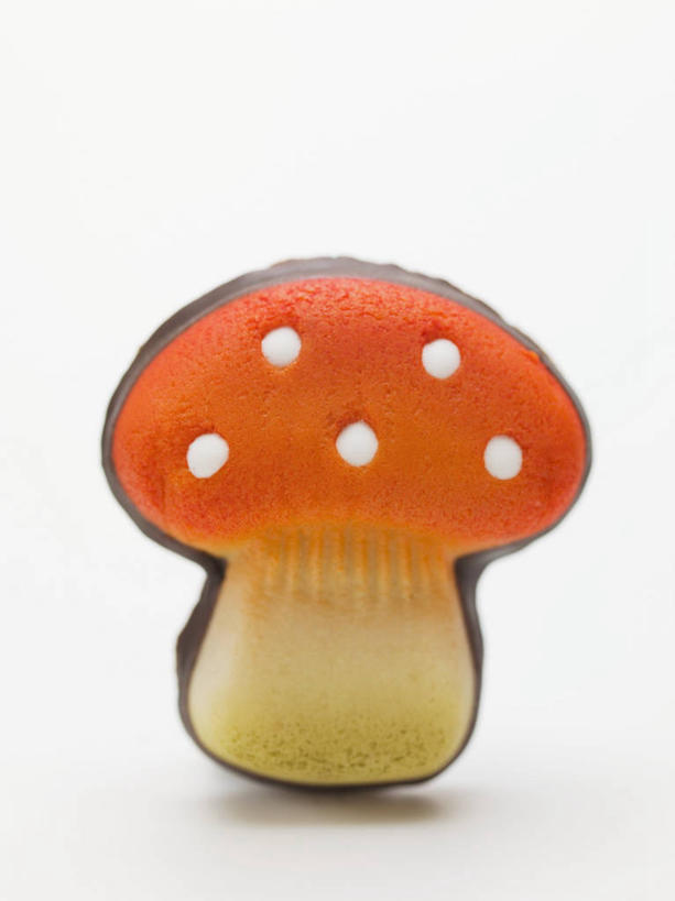 无人,竖图,俯视,室内,特写,白天,白色背景,桌面,桌子,阴影,反射,木制,影子,圆点,斑点,菌菇,食品,糖,糖果,甜点,甜品,软糖,菌类,食物,一个,木制品,甜食,摄影,影棚,单个,有毒,毒蝇伞,毒蝇鹅膏菌,哈蟆菌,捕蝇菌,毒蝇菌,彩图,高角度拍摄,影棚拍摄,拍摄