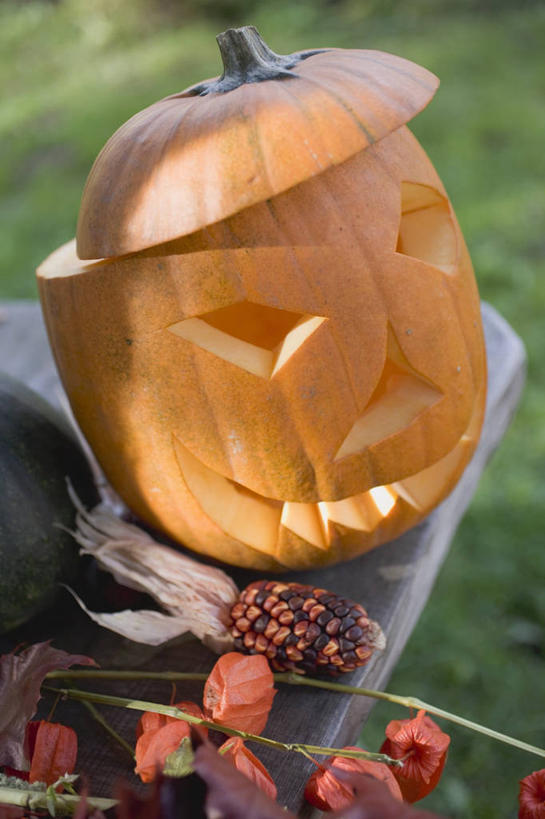 脸,头,脸颊,无人,竖图,俯视,室外,特写,白天,草地,草坪,植物,桌子,南瓜,蔬菜,照明,阴影,节日,朦胧,模糊,庆祝,新鲜,装饰,光线,影子,灯光,金瓜,食品,文化,镂空,番瓜,灯,草,食物,绿色,阳光,灯具,庆典,南瓜灯,万圣节,有机食品,绿色食品,纪念,华丽,修饰,麦瓜,倭瓜,照亮,点缀,照明设备,衬托,美观,雅致,雅观,镂刻,头部,脸部,脸蛋,面部,彩图,高角度拍摄