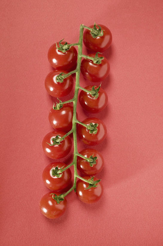 无人,竖图,俯视,室内,特写,白天,餐桌,桌子,蔬菜,西红柿,小番茄,一排,许多,阴影,红色背景,新鲜,整齐,反射,影子,食品,食物,排列,红色,摄影,有机食品,绿色食品,影棚,餐台,队列,小西红柿,樱桃小番茄,珍珠小番茄,樱桃番茄,圣女果,番茄,彩图,高角度拍摄,影棚拍摄,拍摄