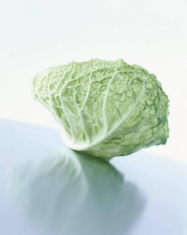 无人,竖图,俯视,室内,特写,白天,白色背景,餐桌,桌子,蔬菜,椰菜,卷心菜,阴影,新鲜,反射,影子,食品,食物,一个,甘蓝,摄影,有机食品,绿色食品,影棚,单个,餐台,结球甘蓝,甘兰,包心菜,彩图,高角度拍摄,影棚拍摄,拍摄
