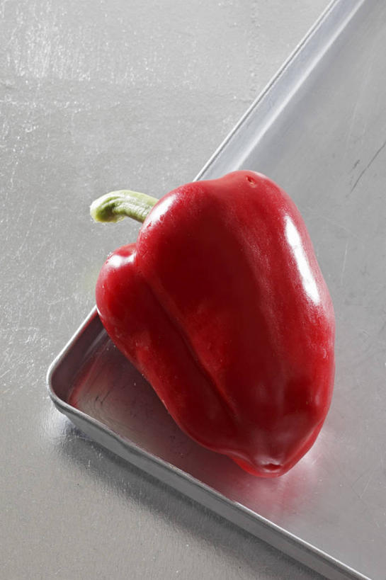 无人,竖图,俯视,室内,特写,白天,餐桌,桌子,辣椒,蔬菜,餐具,金属制品,阴影,灰色背景,新鲜,反射,金属,碟子,盘,影子,食品,食物,一个,红色,盘子,碟,摄影,有机食品,绿色食品,影棚,单个,餐台,彩椒,辣角,红海椒,大椒,辣虎,广椒,甜椒,柿子椒,辣子,海椒,番椒,灯笼椒,彩图,高角度拍摄,影棚拍摄,拍摄