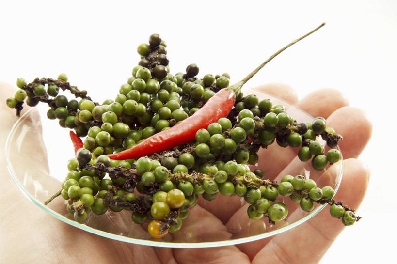 西方人,手,一个人,横图,室内,特写,白天,白色背景,正面,辣椒,蔬菜,餐具,玻璃,欧洲,欧洲人,仅一个男性,仅一个人,握,新鲜,碟子,盘,调料,调味,香料,佐料,食品,黑胡椒,调味品,拿,调味料,拿着,玻璃制品,食物,仅一个年轻男性,一个,盘子,碟,手部,握着,摄影,有机食品,绿色食品,影棚,单个,单手,配料,辣角,红海椒,大椒,辣虎,广椒,作料,男人,男性,年轻男性,白种人,辣子,胡椒,红辣椒,海椒,番椒,半身,彩图,影棚拍摄,拍摄