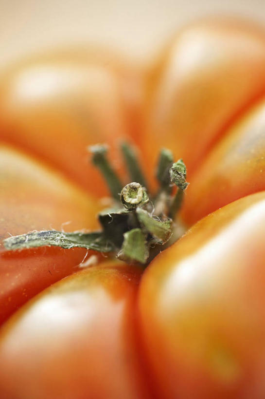 无人,竖图,俯视,室内,特写,白天,蔬菜,西红柿,阴影,朦胧,模糊,新鲜,反射,影子,食品,食物,一个,红色,有机食品,绿色食品,单个,番茄,彩图,高角度拍摄