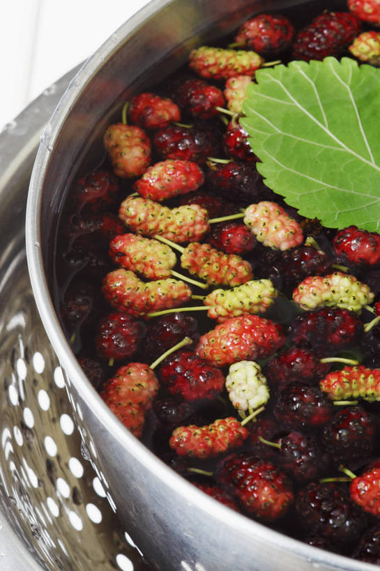 无人,竖图,俯视,室内,特写,白天,植物,桌面,桌子,浆果,水果,叶子,金属制品,阴影,新鲜,反射,金属,木制,纹理,影子,桑葚,桑椹,生食,食品,果实,绿叶,食物,一个,绿色,木制品,容器,碗,覆盆子,嫩叶,有机食品,绿色食品,单个,储藏,储存,肌理,叶,叶片,叶脉,彩图,高角度拍摄,贮存