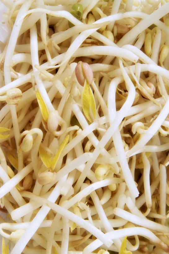 无人,竖图,俯视,室内,特写,白天,蔬菜,一堆,许多,堆叠,堆积,新鲜,豆芽,食品,绿豆芽,食物,摄影,有机食品,绿色食品,影棚,堆,豆芽菜,芽苗菜,彩图,高角度拍摄,影棚拍摄,拍摄