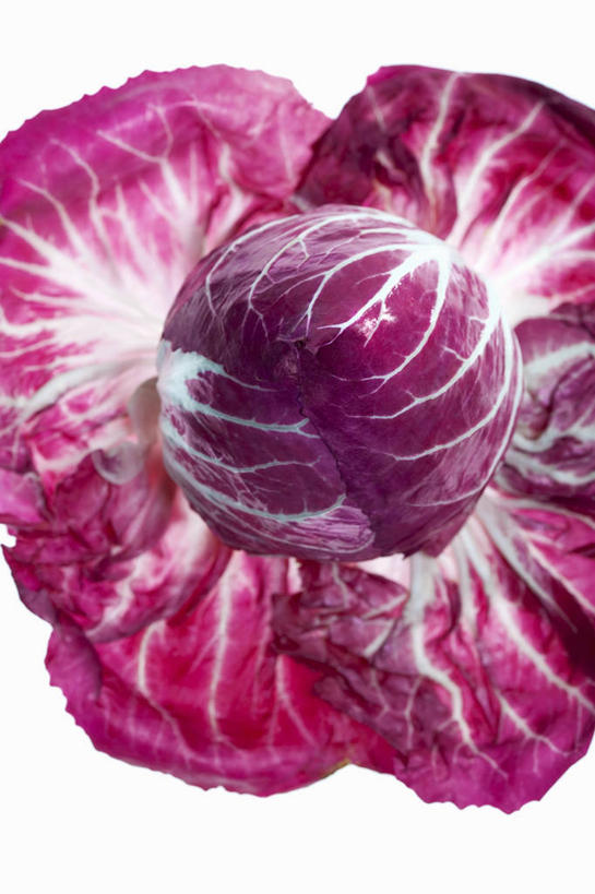 无人,竖图,俯视,室内,特写,白天,白色背景,餐桌,桌子,蔬菜,椰菜,卷心菜,新鲜,纹路,纹理,紫甘蓝,食品,紫包菜,食物,一个,紫色,赤甘蓝,甘蓝,摄影,有机食品,绿色食品,影棚,单个,餐台,紫椰菜,肌理,紫圆白菜,结球甘蓝,红甘蓝,甘兰,包心菜,彩图,高角度拍摄,影棚拍摄,拍摄