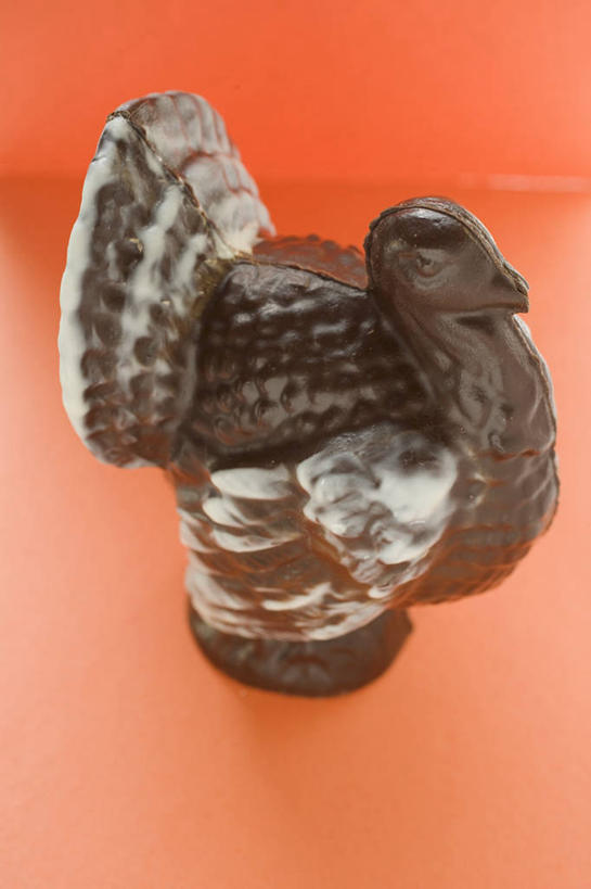 无人,竖图,俯视,室内,特写,白天,鸡,橙色背景,节日,庆祝,食品,糖,糖果,甜点,甜品,火鸡,文化,家禽,食物,一个,动物,甜食,巧克力,庆典,摄影,牲畜,影棚,单个,纪念,朱古力,感恩节,七面鸟,吐绶鸡,彩图,高角度拍摄,影棚拍摄,拍摄