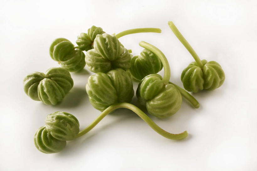 无人,横图,俯视,室内,特写,白天,白色背景,餐桌,桌子,种子,绿色,摄影,影棚,餐台,旱金莲,金莲花,寒金莲,旱荷,旱莲花,金钱莲,大红雀,彩图,高角度拍摄,影棚拍摄,拍摄