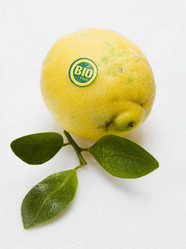 无人,竖图,俯视,室内,特写,白天,白色背景,植物,餐桌,桌子,柠檬,水果,叶子,阴影,新鲜,反射,纹理,影子,生食,食品,果实,绿叶,食物,一个,黄色,绿色,嫩叶,摄影,有机食品,绿色食品,影棚,单个,餐台,柠檬叶,肌理,叶,叶片,叶脉,益母果,柠果,彩图,高角度拍摄,影棚拍摄,拍摄,黎檬,洋柠檬