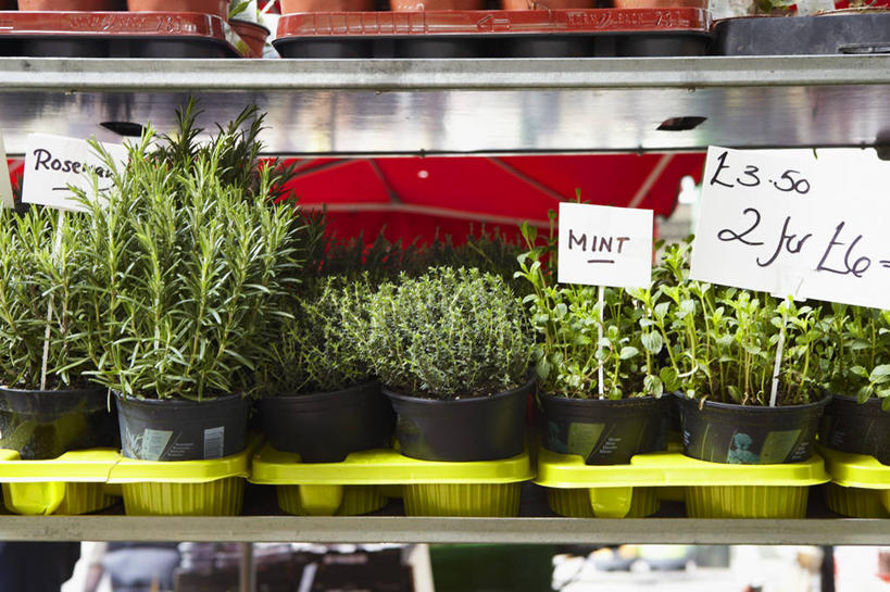 无人,商店,横图,室内,白天,正面,植物,叶子,许多,芳香,标签,标志,数字,文字,字符,绿叶,草药,药草,很多,标识,商铺,中药,香草,嫩叶,价格,阿拉伯数字,吉祥,百里香,迷迭香,麝香草,药材,中草药,价钱,中药材,本草,如意,海洋之露,勇气,勇敢,地椒,自尊,不屈,市肆,商号,代价,平安,叶,叶片,彩图,店铺