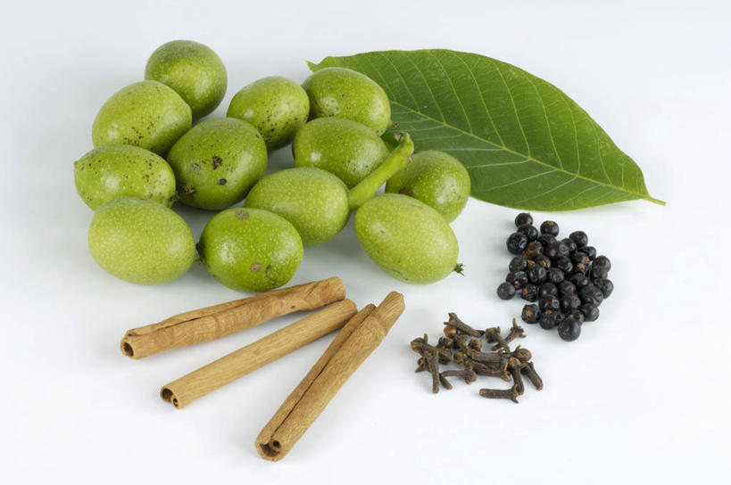 无人,横图,俯视,室内,特写,白天,白色背景,餐桌,桌子,叶子,许多,阴影,反射,影子,核桃,调味,香料,佐料,坚果,果实,绿叶,肉桂,干果,嫩叶,摄影,影棚,餐台,配料,桂皮,胡桃,杜松子,作料,官桂,牡桂,筒桂,香桂,玉桂,羌桃,叶,叶片,彩图,高角度拍摄,影棚拍摄,拍摄