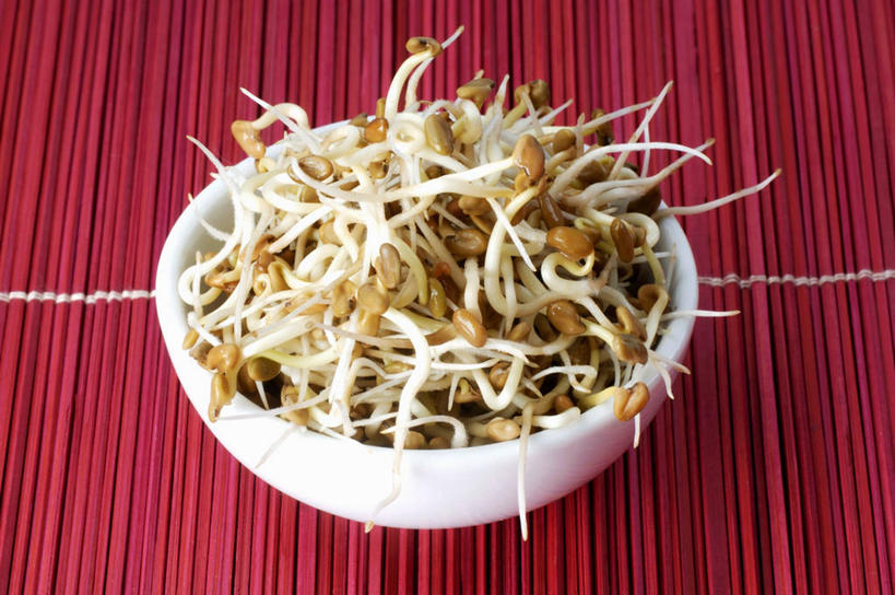 无人,横图,俯视,室内,特写,白天,植物,桌面,桌子,蔬菜,一堆,许多,阴影,堆叠,堆积,红色背景,新鲜,反射,木制,影子,陶瓷,豆芽,食品,草药,药草,陶瓷制品,很多,中药,食物,一个,木制品,容器,碗,摄影,有机食品,绿色食品,影棚,单个,储藏,堆,葫芦巴,苦豆,储存,药材,中草药,豆芽菜,芽苗菜,中药材,本草,胡芦巴,香豆子,小木夏,彩图,高角度拍摄,影棚拍摄,拍摄,贮存