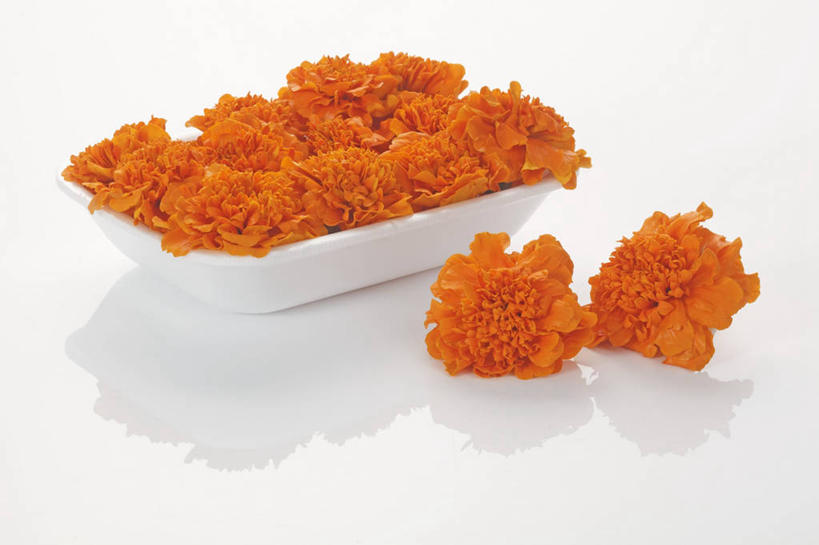 无人,横图,俯视,室内,特写,白天,白色背景,桌面,桌子,阴影,盛开,反射,木制,影子,陶瓷,陶瓷制品,花蕾,花,花瓣,花朵,鲜花,一个,木制品,容器,碗,花苞,花蕊,橙色,摄影,影棚,单个,储藏,分别,储存,离别,长生菊,黄金盏,金盏花,金盏菊,醒酒花,惜别,彩图,高角度拍摄,影棚拍摄,拍摄,贮存