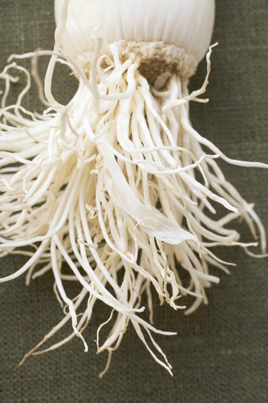 无人,竖图,俯视,室内,特写,白天,餐桌,桌子,蔬菜,阴影,新鲜,反射,影子,葱,青葱,食品,食物,白色,有机食品,绿色食品,餐台,韭葱,彩图,高角度拍摄