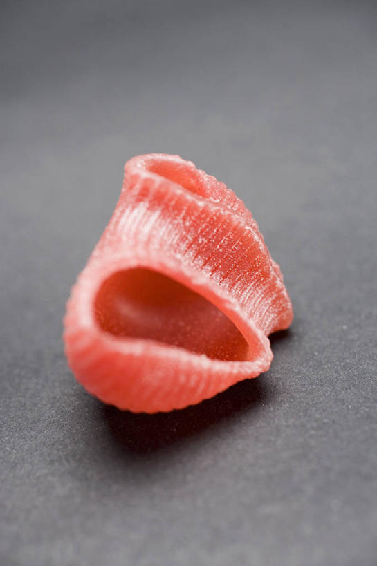 面食,面条,意大利面,无人,竖图,俯视,室内,特写,白天,西餐,餐桌,桌子,阴影,灰色背景,反射,影子,面,料理,食品,食物,一个,红色,西式,摄影,影棚,单个,餐台,贝壳面,彩图,高角度拍摄,影棚拍摄,拍摄