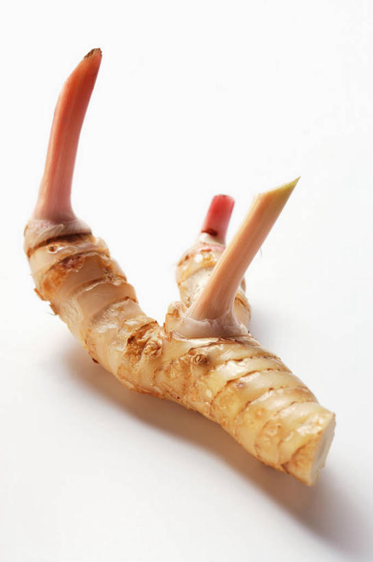 无人,竖图,俯视,室内,特写,白天,白色背景,植物,餐桌,桌子,阴影,反射,影子,草药,药草,中药,一个,摄影,影棚,单个,餐台,药材,中草药,高良姜,中药材,本草,风姜,枫姜,高凉姜,良姜,蛮姜,小良姜,彩图,高角度拍摄,影棚拍摄,拍摄