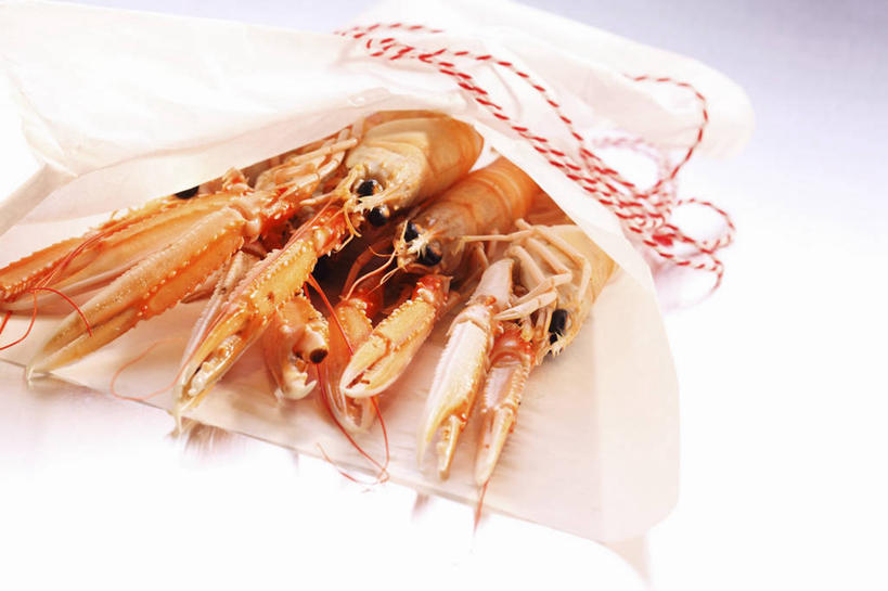 无人,横图,俯视,室内,特写,白天,白色背景,桌面,桌子,一堆,许多,阴影,堆叠,堆积,反射,木制,包装,包装纸,影子,纸,虾,纸张,木制品,绳子,摄影,影棚,堆,捆绑,绳索,包装材料,牛皮纸,斑节对虾,斑节虾,绑缚,日本对虾,竹节虾,彩图,高角度拍摄,影棚拍摄,拍摄