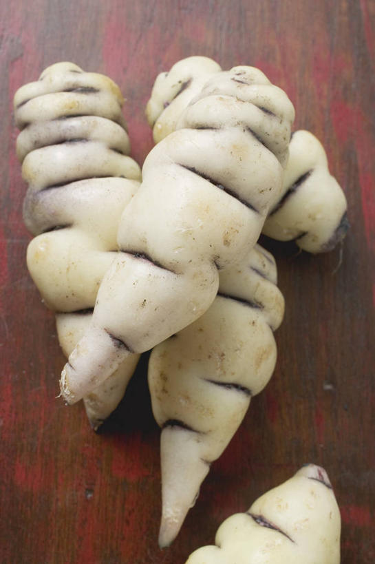 无人,竖图,俯视,室内,特写,白天,桌面,桌子,蔬菜,阴影,新鲜,反射,木制,影子,食品,食物,木制品,有机食品,绿色食品,酸模,野菠菜,皱叶羊蹄,体贴,山菠菜,山大黄,彩图,高角度拍摄