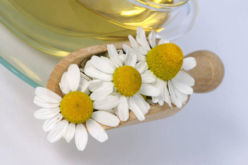 无人,横图,俯视,室内,特写,白天,白色背景,幸福,餐桌,茶,桌子,杯子,餐具,阴影,盛开,反射,木制,碟子,盘,影子,茶叶,洋甘菊,饮品,花蕾,娱乐,花,花瓣,花朵,鲜花,三个,一个,盘子,木制品,水杯,碟,花茶,花苞,花蕊,享受,休闲,温馨,放松,活力,乐趣,力量,保健,养生,摄影,影棚,簸箕,单个,餐台,花草茶,舒适,坚强,交往,母菊,香花茶,香片,熏花茶,和好,茶杯,彩图,高角度拍摄,影棚拍摄,拍摄,洋甘菊茶