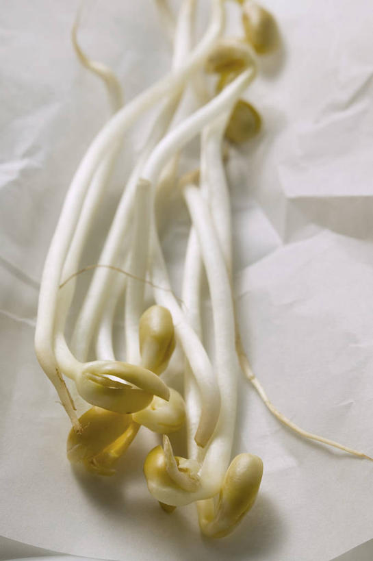 无人,竖图,俯视,室内,特写,白天,餐桌,桌子,蔬菜,阴影,新鲜,反射,包装,包装纸,影子,纸,豆芽,食品,纸张,食物,有机食品,绿色食品,餐台,包装材料,豆芽菜,芽苗菜,彩图,高角度拍摄