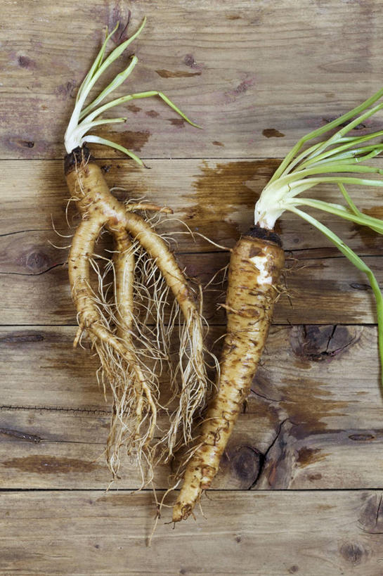 无人,竖图,俯视,室内,特写,白天,水,植物,桌面,桌子,人参,阴影,反射,木制,液体,影子,水滴,草药,药草,中药,两个,木制品,摄影,影棚,药材,中草药,中药材,本草,百尺杵,海腴,皱面还丹,人衔,参,彩图,高角度拍摄,影棚拍摄,拍摄