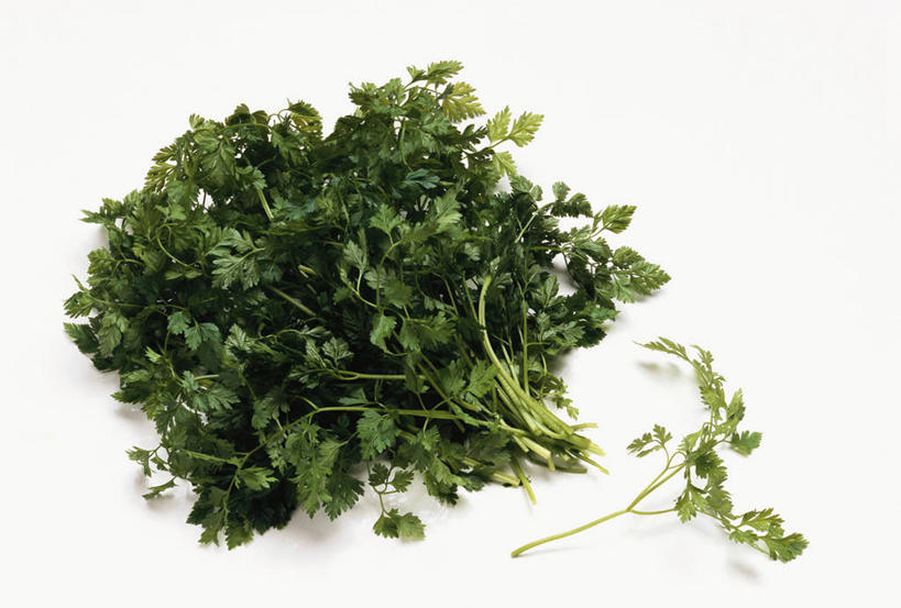 无人,横图,俯视,室内,特写,白天,白色背景,植物,桌面,桌子,一堆,许多,阴影,堆叠,堆积,反射,木制,影子,草药,药草,中药,木制品,摄影,影棚,堆,药材,中草药,轮峰菊,中药材,本草,山萝卜,松虫草,紫盆花,彩图,高角度拍摄,影棚拍摄,拍摄