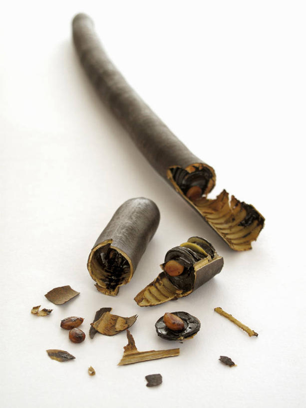 无人,竖图,俯视,室内,特写,白天,白色背景,桌面,桌子,阴影,破碎,反射,木制,影子,调味,香料,佐料,肉桂,凌乱,木制品,摄影,影棚,配料,混乱,破裂,桂皮,摧毁,作料,官桂,牡桂,筒桂,香桂,玉桂,纷乱,缭乱,庞杂,彩图,高角度拍摄,影棚拍摄,拍摄