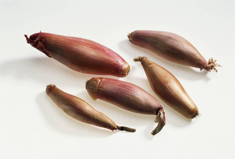 无人,横图,俯视,室内,特写,白天,白色背景,餐桌,桌子,蔬菜,洋葱,五个,许多,阴影,新鲜,反射,影子,食品,食物,摄影,有机食品,绿色食品,影棚,餐台,玉葱,圆葱,洋葱头,球葱,葱头,彩图,高角度拍摄,影棚拍摄,拍摄,红洋葱