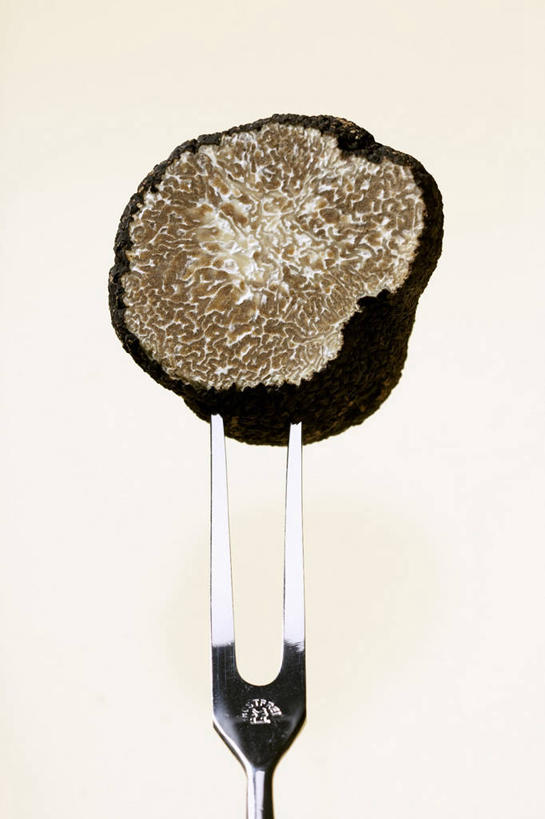 无人,竖图,室内,特写,白天,白色背景,正面,蔬菜,餐具,金属制品,新鲜,金属,叉子,菌菇,食品,松露,菌类,食物,一个,食用菌,摄影,有机食品,绿色食品,影棚,单个,横截面,剖面,餐叉,黑松露,截面,截面图形,进餐用具,彩图,影棚拍摄,拍摄